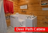 Jetted tub in 1 bedroom cabin Master Bath