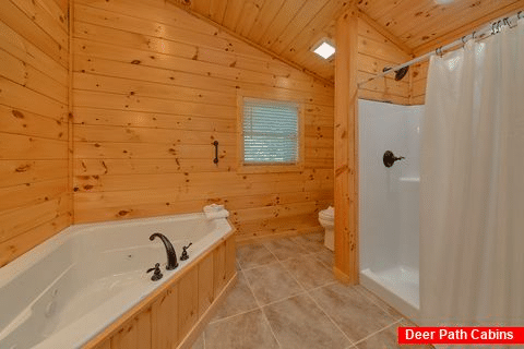 Jacuzzi Tub and Walk in Shower 2 Bedroom Cabin - Mountain Home
