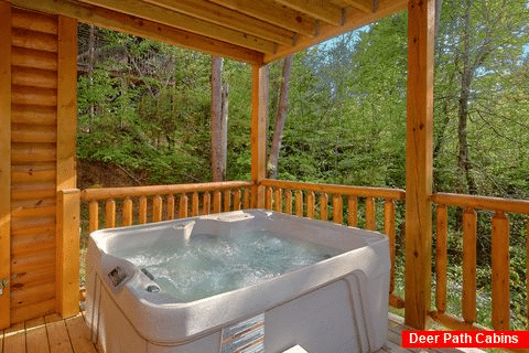 Pigeon Forge 2 Bedroom 2 Bath Private Hot Tub - Mountain Home