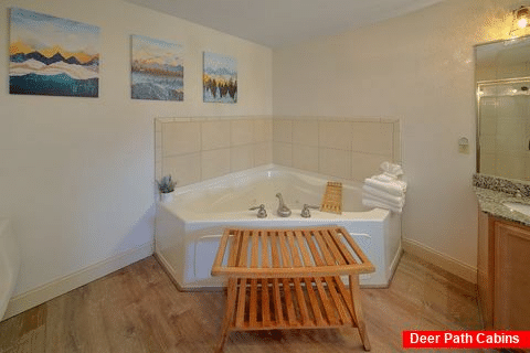 Premium 1 bedroom condo with Jacuzzi Tub - Mountain View 3405