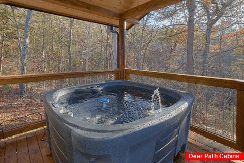 Rental cabin with 5 bedrooms and private hot tub - Could Not Ask For More