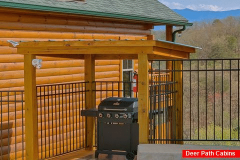4 Bedroom Cabin with Propane Grill - Cubbs Dream