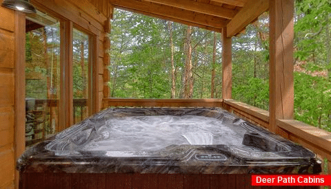 Private 1 bedroom cabin with hot tub on deck - Beary Cozy Cabin