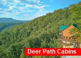 Large Luxury 3 Bedroom Cabin in Smoky Mountains