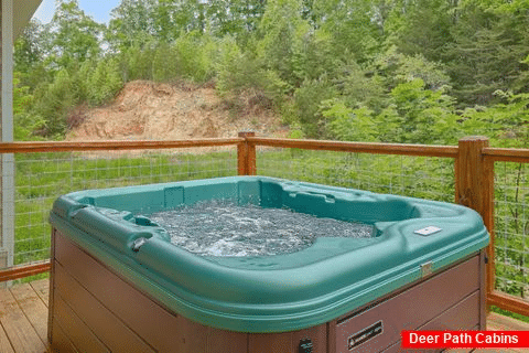 Spacious 8 Bedroom Cabin with 2 Hot Tubs - Bar Mountain IV
