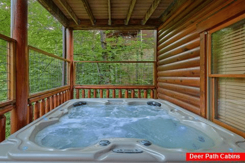 Private Gatlinburg cabin with wooded view - Elkhorn Lodge