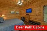 2 bedroom cabin with 2 King Bedrooms