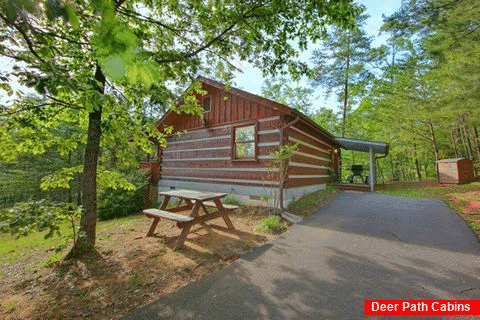 Wears Valley Cabin with a Grill & Picnic Table - Top of The Mountain