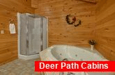 2 bedroom cabin with Jacuzzi Tub in Master Bath