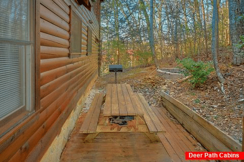 Cabin with Picnic Table - A Bear Encounter
