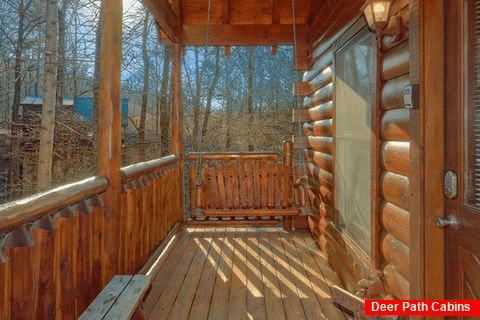 Cabin with Porch Swing - A Bear Encounter