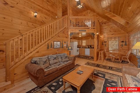 Cabin with Open Floor Plan - A Beary Special Place