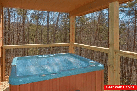 Hot Tub with Views - A Beary Special Place