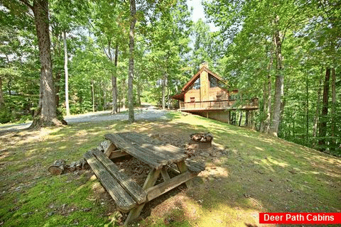 Cabin with Picnic Area - A Hidden Mountain 360