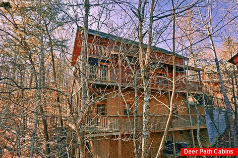 Cabin with Wooded View - Bear E Nice