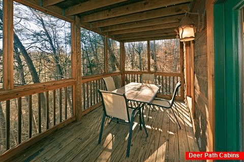 Cabin with Outside Furniture - Bear E Nice