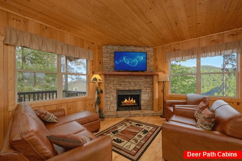 Cabin with Living Room with Views - Tip Top