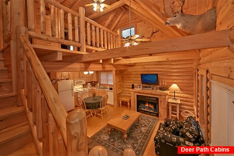 Pigeon Forge Cabin with fireplace & sleeper sofa - A Rocky Top Memory