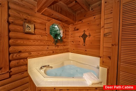 2 bedroom cabin with jacuzzi and private bath - A Rocky Top Memory