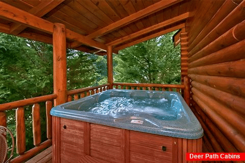 Smoky Mountain Cabin with Private Hot Tub - A Rocky Top Memory
