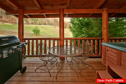 2 bedroom cabin with covered porch and gas grill - A Rocky Top Memory