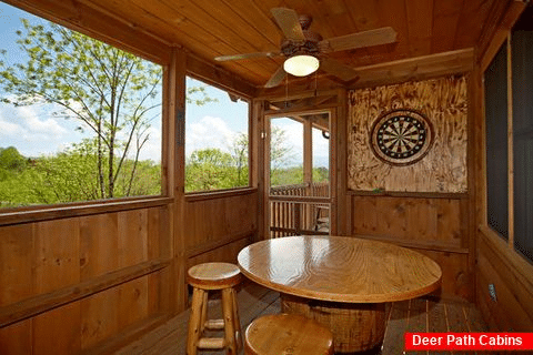 Cabin Featuring a Great Dart Board - Southern Style