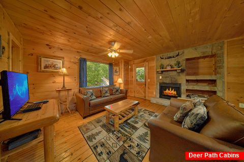 Cabin with Spacious Living Room and Fireplace - Bar None