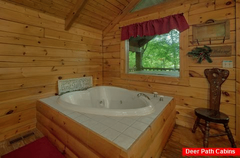 Cozy 1 bedroom cabin with jacuzzi tub - Dreamweaver