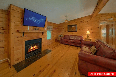 3 bedroom cabin with fireplace and sleeper sofa - Lacey's Lodge