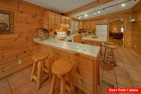 Premium 3 Bedroom Cabin Rental with Jacuzzi Tub - Lacey's Lodge