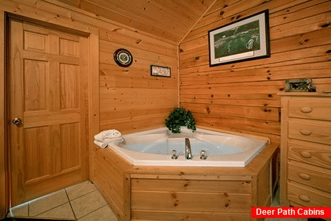 Eagles Ridge 7 Bedroom Cabin with 2 Jacuzzi Tubs - Alexander the Great
