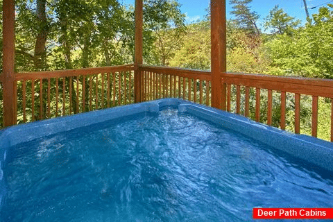 Smoky Mountain Cabin with Hot Tub and View - American Pie 2