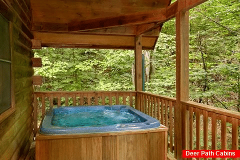1 Bedroom Cabin with Private Hot Tub and Deck - Mountain Dreams