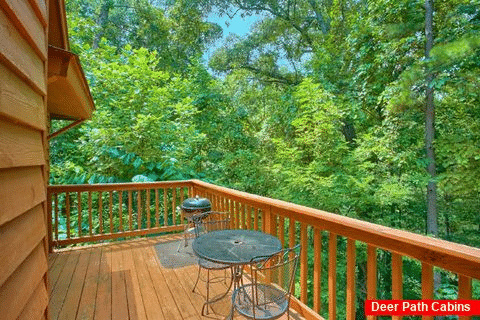 Rustic 1 Bedroom Cabin in a Wooded Setting - Passion Pointe