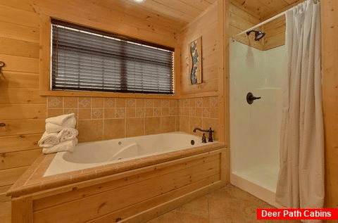 Luxury cabin with Master bath on the main level - A Spectacular View to Remember