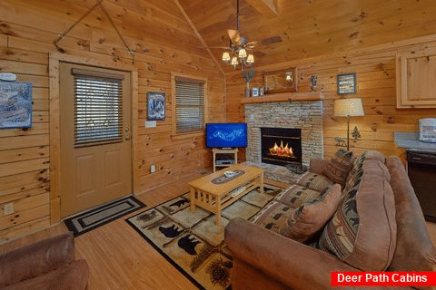 1 bedroom cabin living room with fireplace - Angel's Ridge