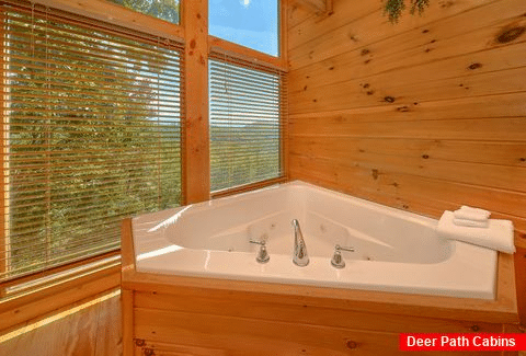 Cabin with Jacuzzi Tub and Mountain View - Eagle's Crest